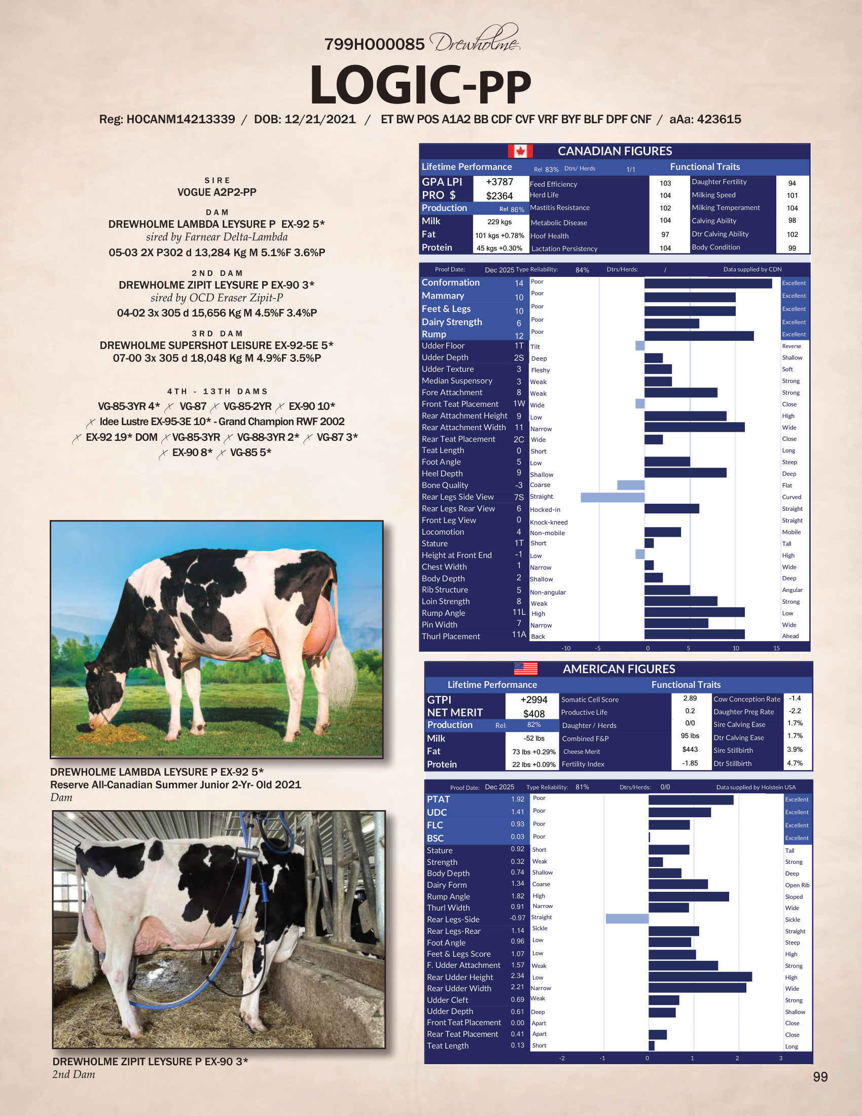 LOGIC-PP — 799HO00085